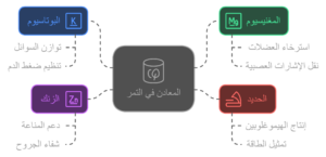 تعويض المعادن الأساسية/التمر أفضل غذاء لإفطار الصائم