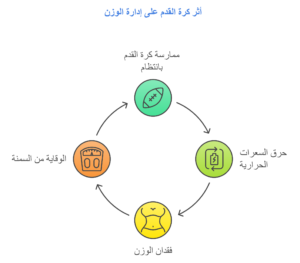 حرق السعرات الحرارية وفقدان الوزن